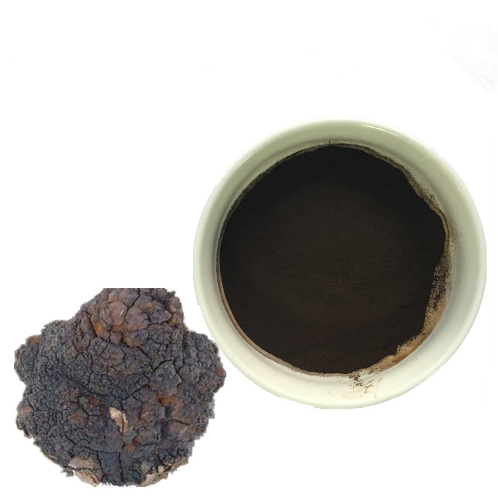 Best Selling Pure Chaga Mushroom Extract Powder 40% Beta Glucan & 2% Bettulinic Acid