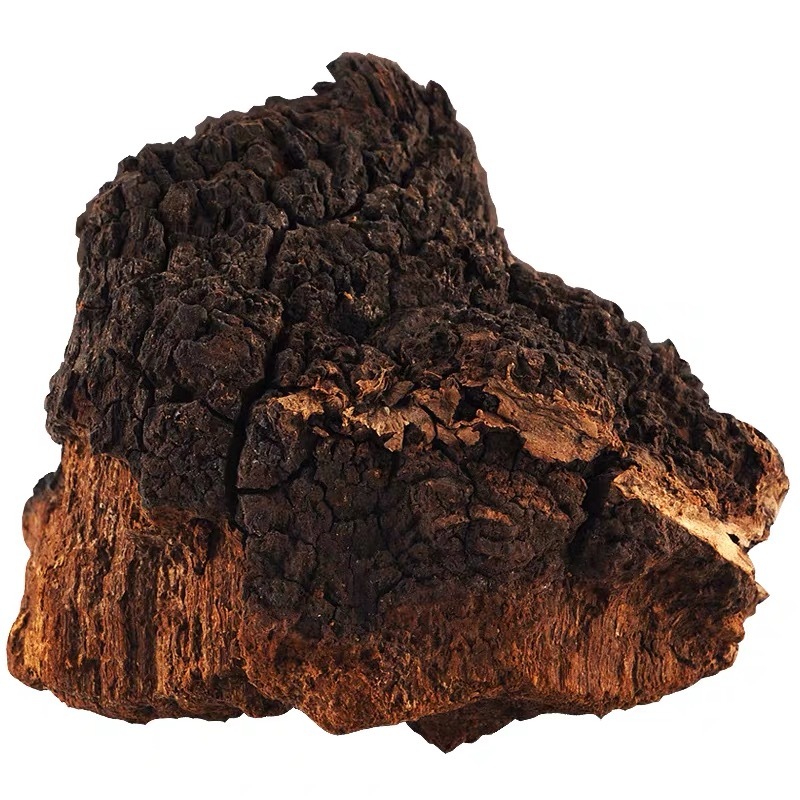 Best Selling Pure Chaga Mushroom Extract Powder 40% Beta Glucan & 2% Bettulinic Acid