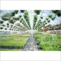 Green House