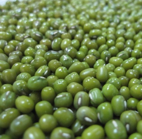 Green Beans Dry Place