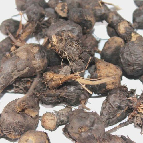 Nagarmotha Root
