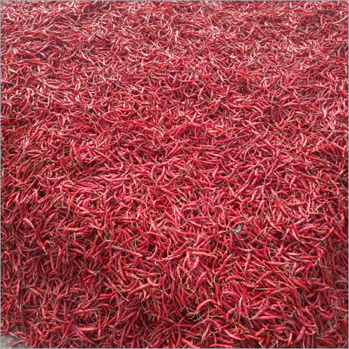 Natural Dry Red Chilli - Weight As Per Requirement (Kilograms) | Color: Red, Storage: Dry Place