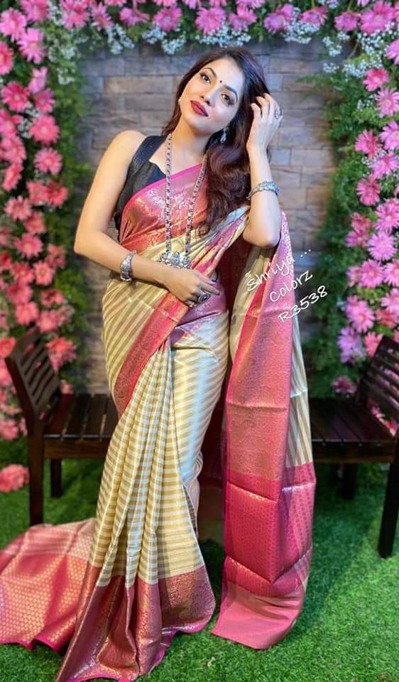 Multi Colour Saree New Launch