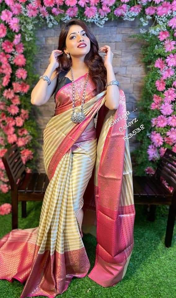 Multi Colour Saree New Launch