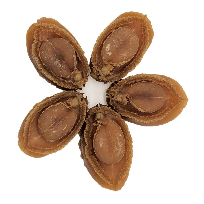 Hot-selling Nutritious Fresh Live Shellfish Dried Abalone