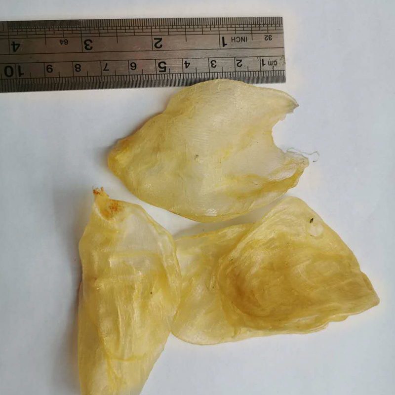 Fish Maw Egg High Quality And Low Price Dfried Fish Glue