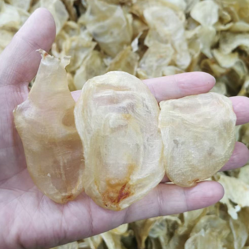 Fish Maw Egg High Quality And Low Price Dfried Fish Glue