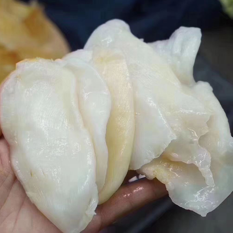Fish Maw Egg High Quality And Low Price Dfried Fish Glue