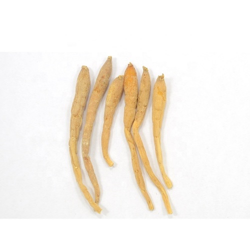 ताई ज़ी शेन हाई क्वालिटी हेटरोफिली फाल्सस्टारवॉर्ट रूट फाल्स स्टारवॉर्ट