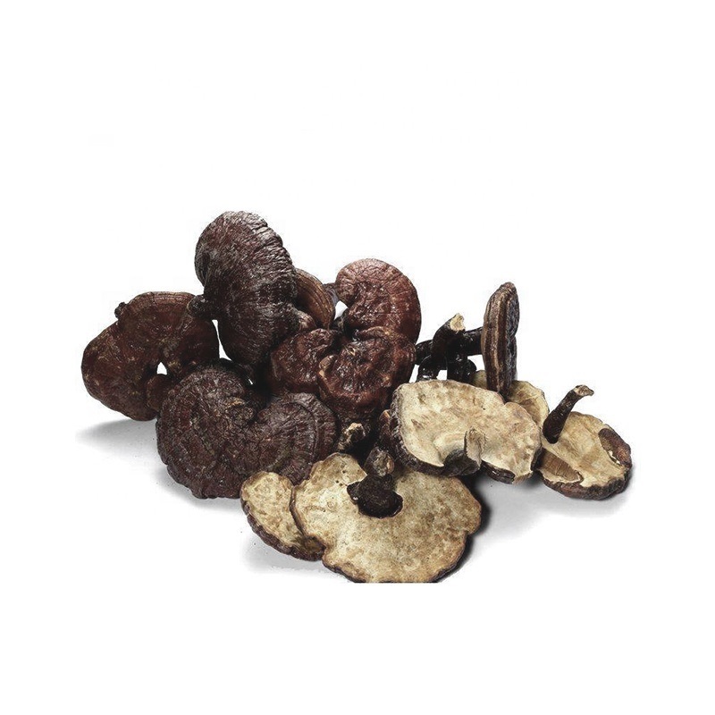 Natural Ganoderma Lucidum Raw Material With Highest Quality