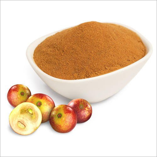 Camu Camu Extract - 1kg to 25kg HDPE Drums, 100% Pure Myrciaria Dubia Powder, Assay 20% Vitamin C, Yellow Brown Fine Powder, Three Year Shelf Life