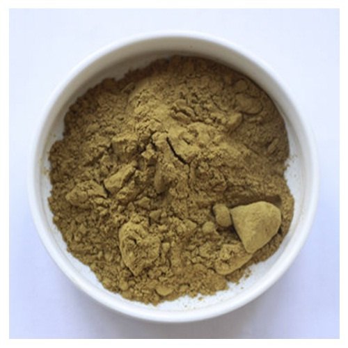 Gynostemma Extract Shelf Life: 01 Years