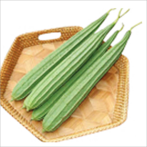 Ridgegourd Akshara SH-324