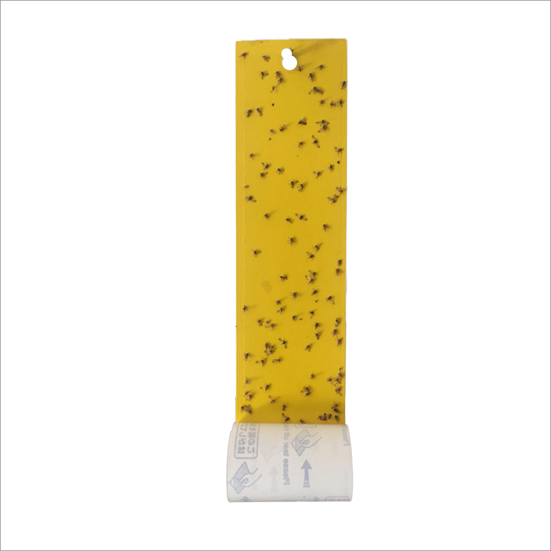 Fly Glue Trap Sheet