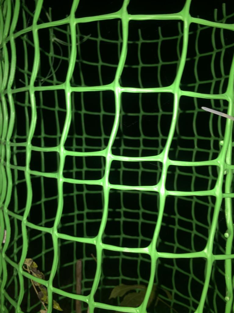 Plastic Fencing Mesh Application: Decoration