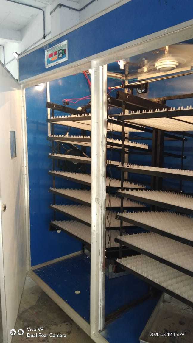 Gray 5000 Egg Incubator