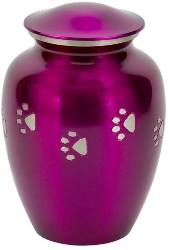 आशेर के लिए गुलाबी पालतू श्मशान कलश