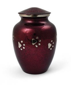 गुलाबी सुंदर पालतू कलश