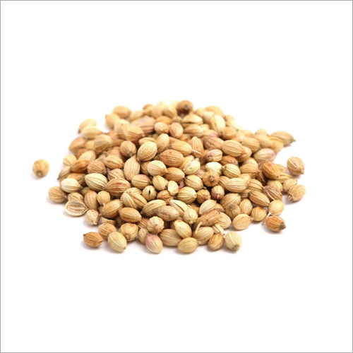 Coriander Seed - Product Type: Dried