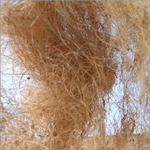 Indian Coir Fiber