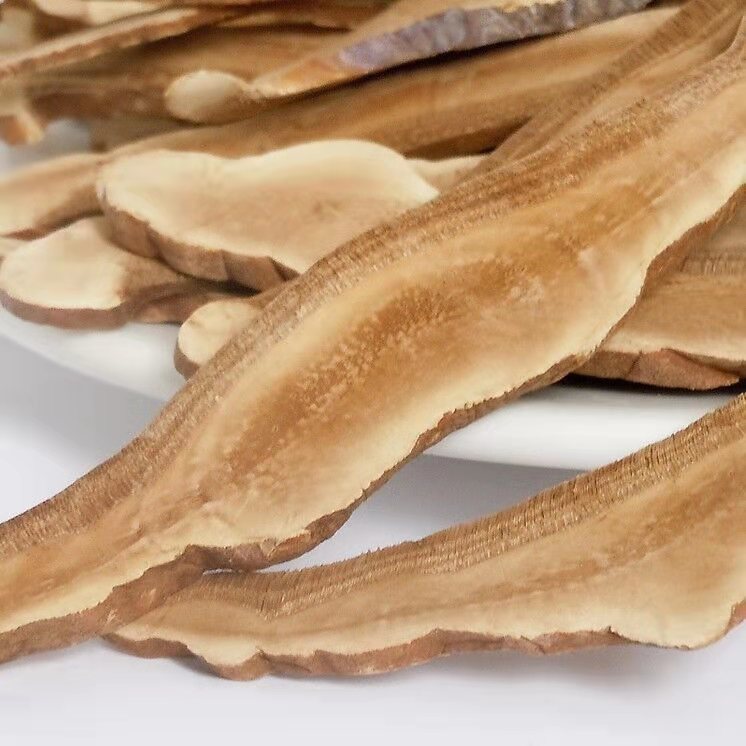 Glossy Producto De Salud Ganoderma Excellium Pioir Lingzhi Ganoderma Lucidum
