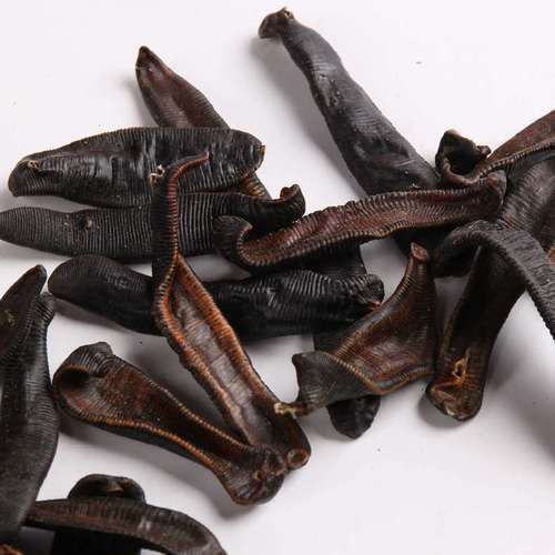 Shui Zhi Animal Original Medicinal Materials Herb Dried Leech