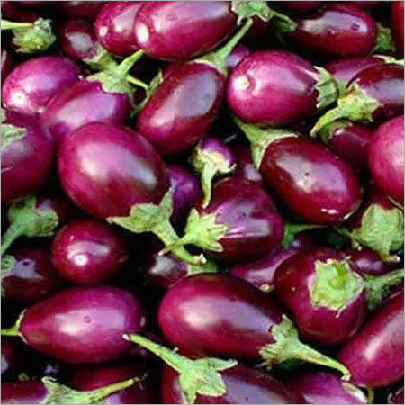 ताज़ा बैंगन