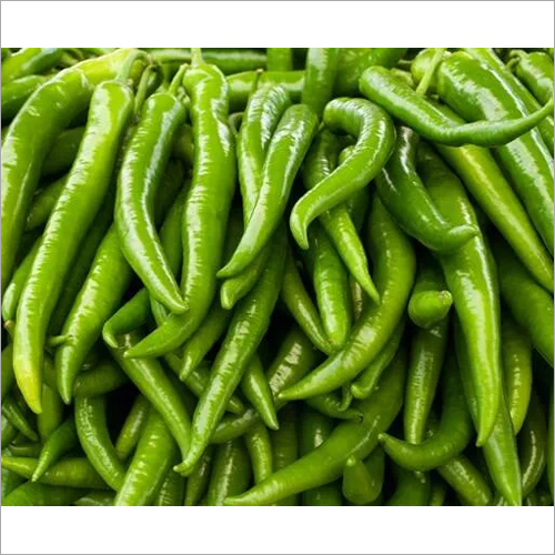 Fresh Green Chilli