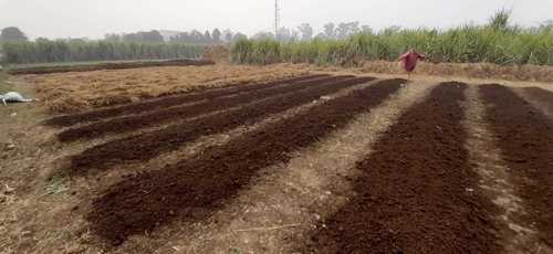 एग्रीकल्चर वर्मीकम्पोस्ट ग्रेन्युलर