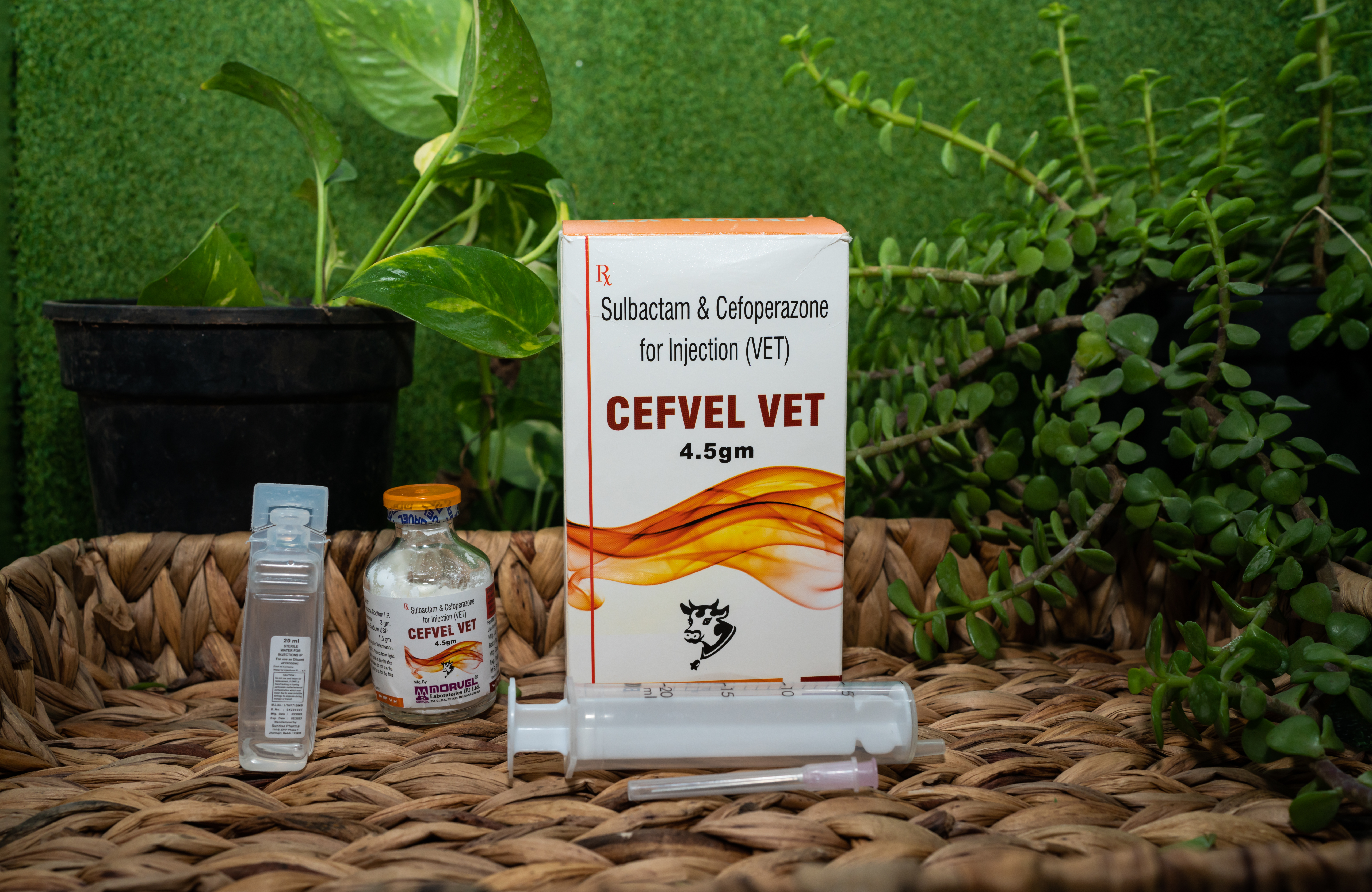 Cefoperazone Sodium & Sulbactum Sodium Injection Recommended For: Cattle