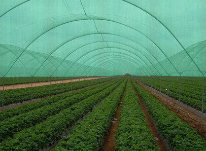 Shade Net - 100% Virgin Hdpe, 50x3 Meter, Green | Uv Stabilized, Durable, Easy To Install, Prevents Algal Growth & Protects Fish Tanks