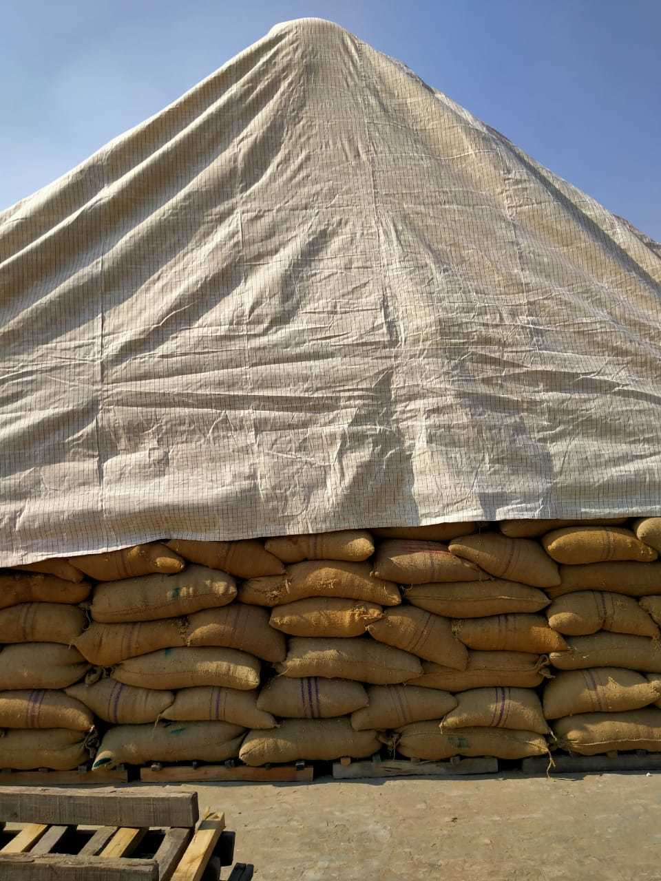 Peddy Stack Tarpaulin