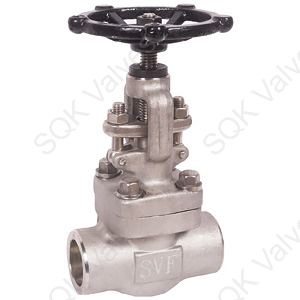 SQK A182 F321H Stainless Steel Globe Valve