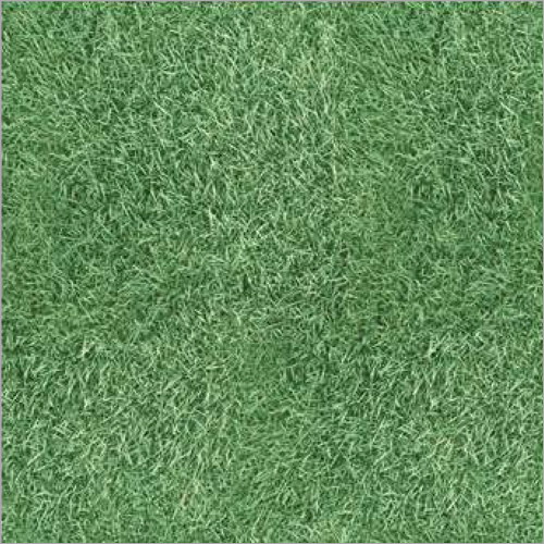 Non Slip Parking Tile - Color: Different Available