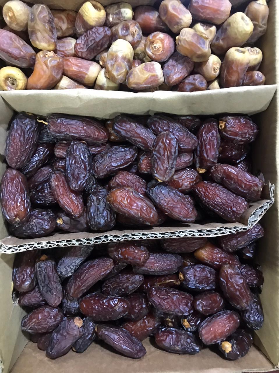 Egyptian Dry Dates