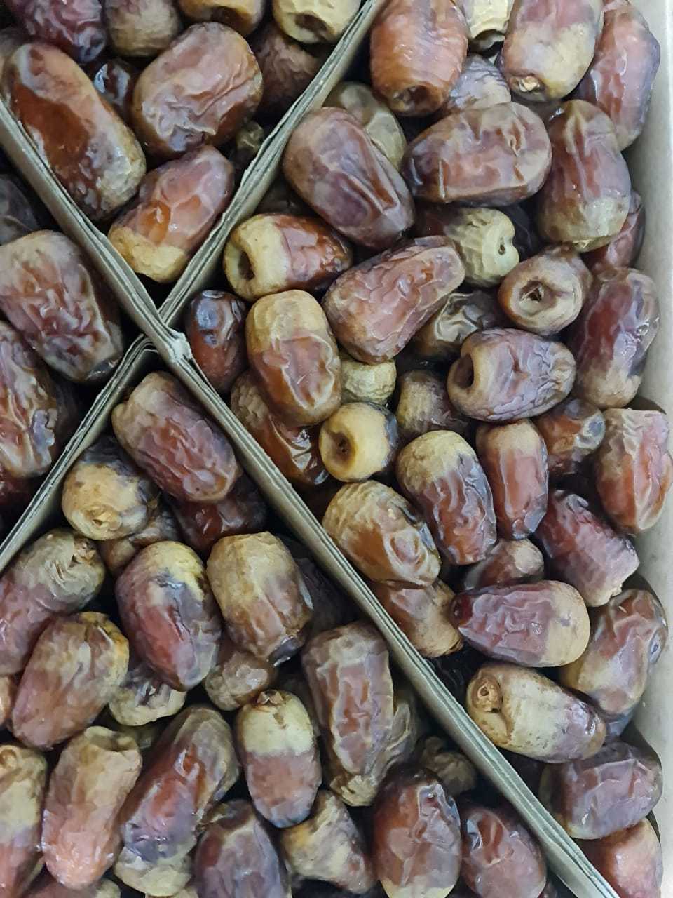 Egyptian Dry Dates