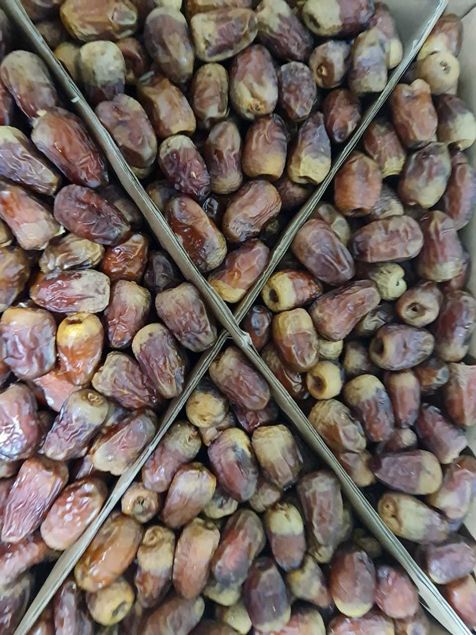 Egyptian Dry Dates