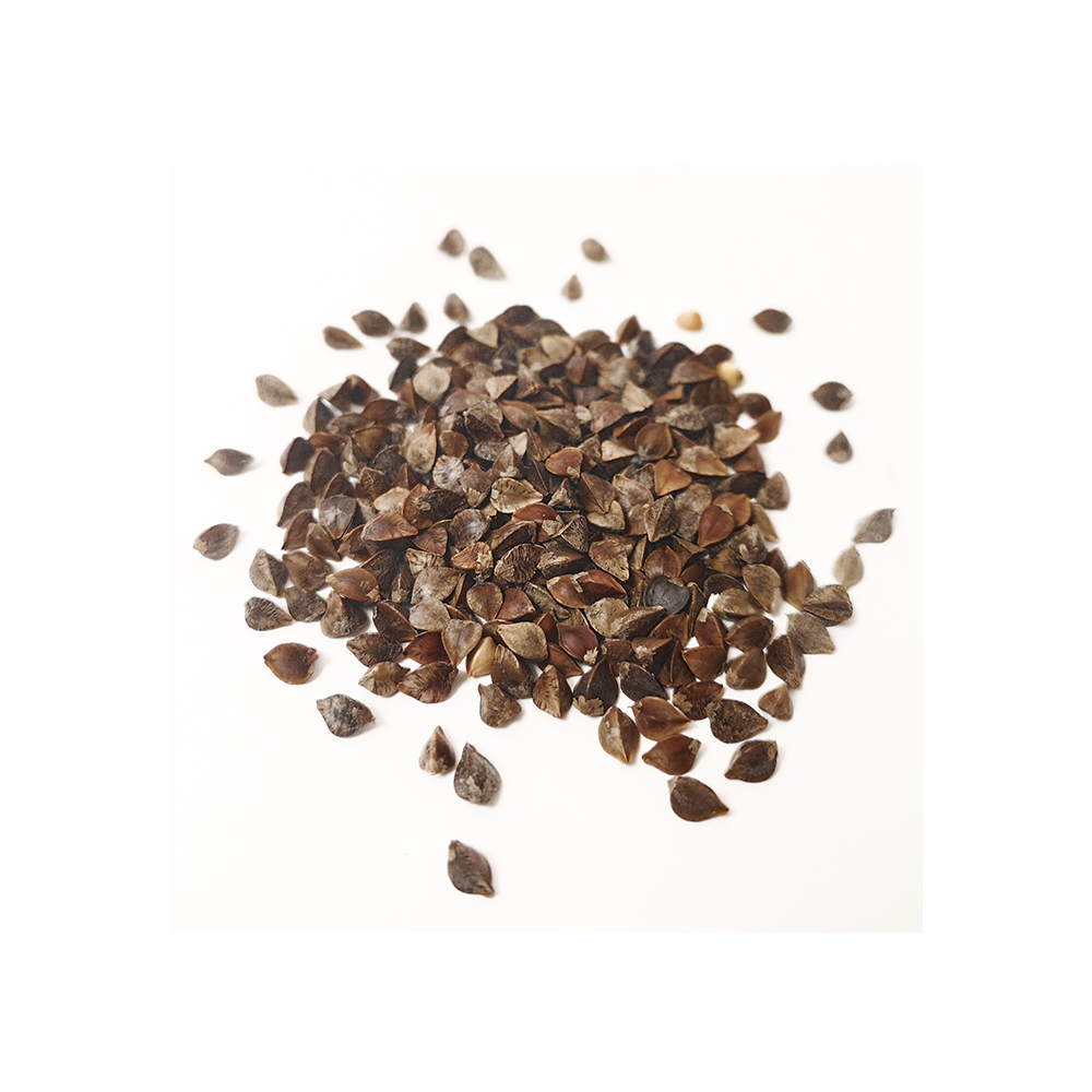 Buckwheat Seeds - Premium Quality, Nutrient-dense Superfood , Ideal For Gluten-free Diets
