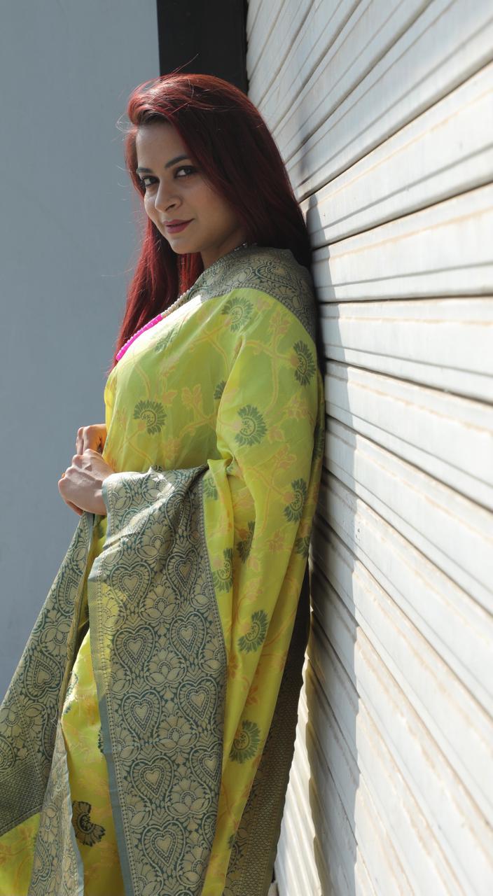 Multi Colour Saree New Launch