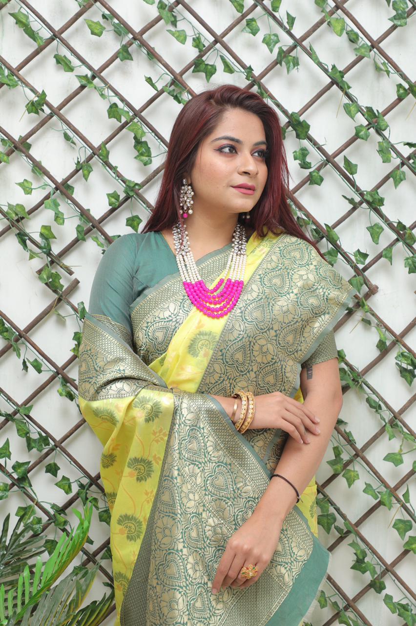 Multi Colour Saree New Launch