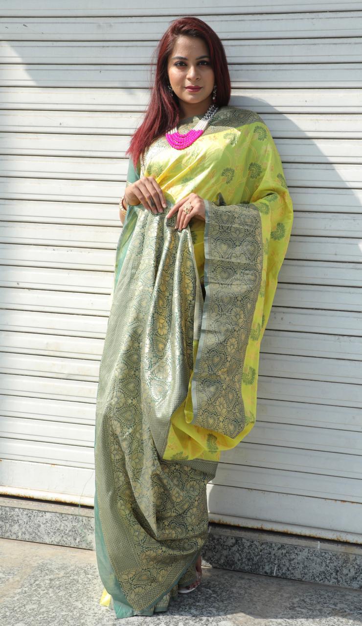 Multi Colour Saree New Launch