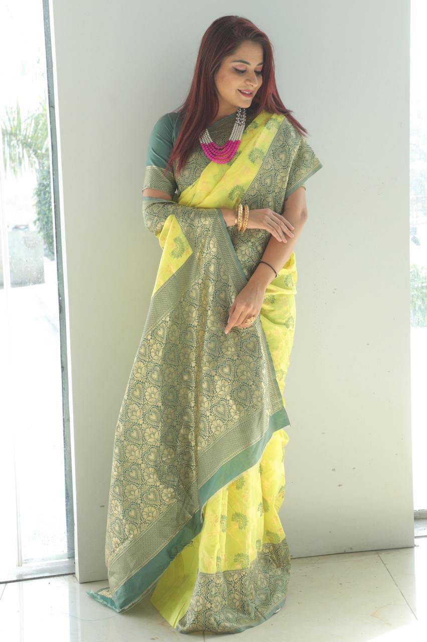 Multi Colour Saree New Launch