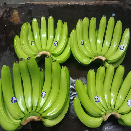 Green Cavendish Banana