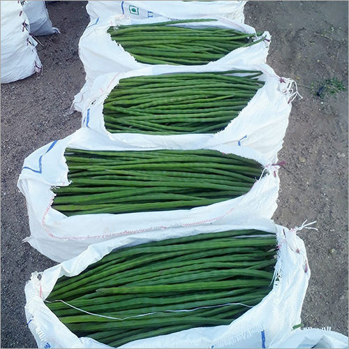 Drumstick Bag Packing