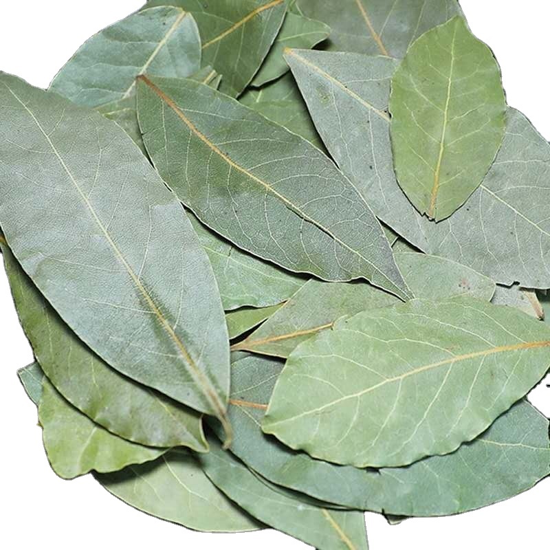 Bay Leafs / Clean And Good Size Bay Leafs / Grade A Bay Leafs