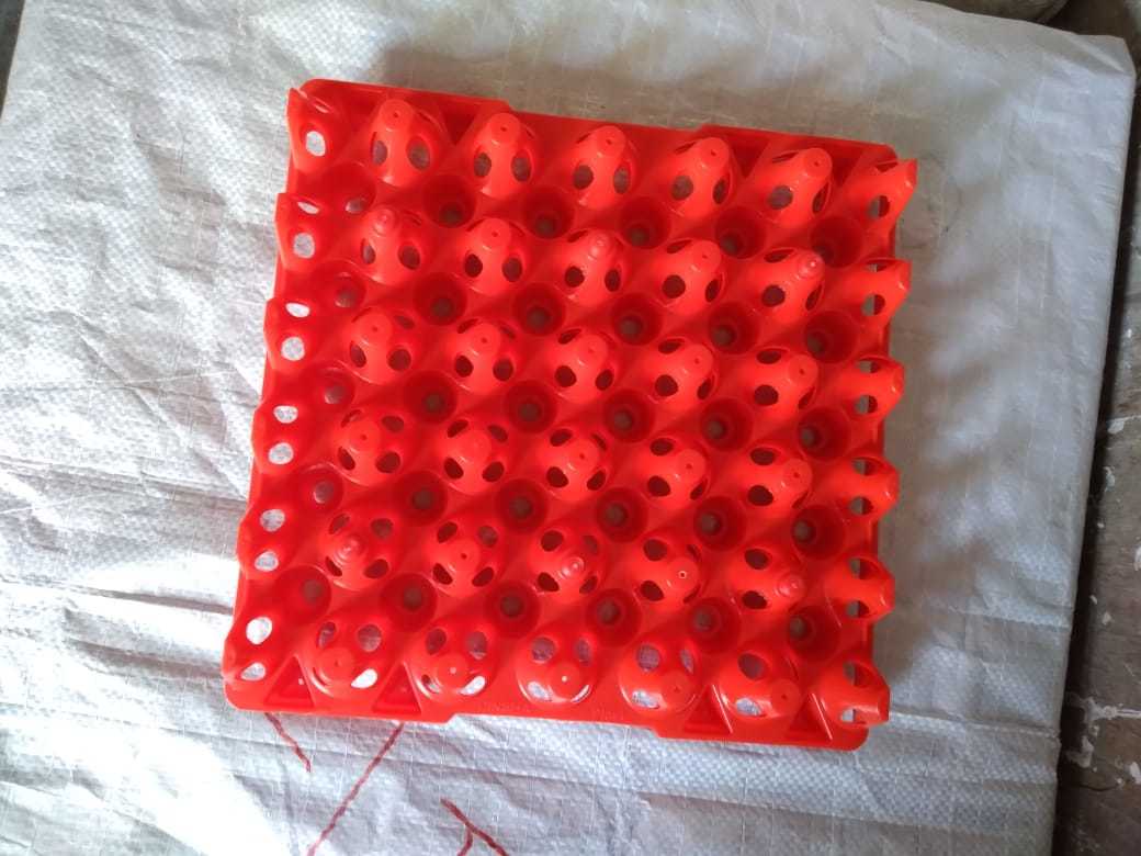 Egg Plastic Tray - High-grade Plastic Material, Green Color, 30 Egg Capacity | Durable, Secure Storage, Impact Resistant, Lightweight, Reusable, Stackable, Easy Handling