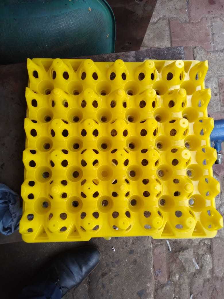 Egg Plastic Tray - High-grade Plastic Material, Green Color, 30 Egg Capacity | Durable, Secure Storage, Impact Resistant, Lightweight, Reusable, Stackable, Easy Handling