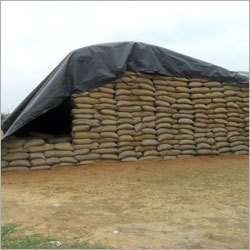 Rice Grains