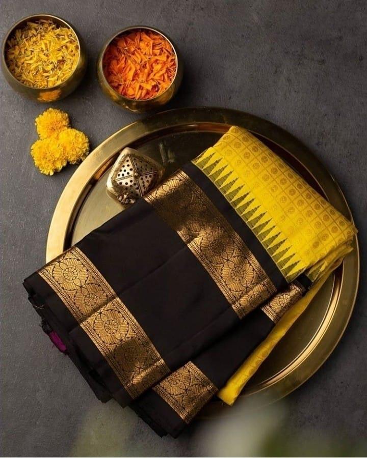Multi Colour Ladies Kanchipuram Saree
