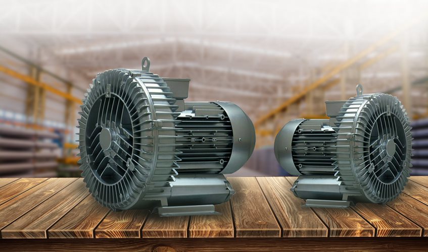 Ring Blower Pump Design Type: Standard